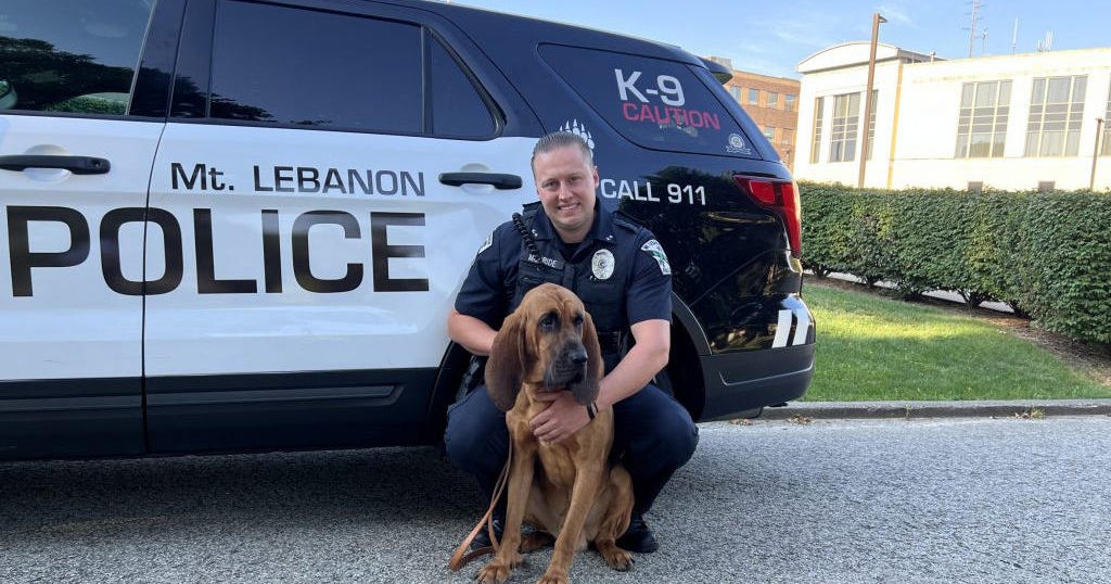 Mt. Lebanon Police welcome new K9 officer to the department - CBS ...