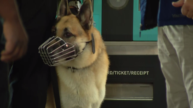 cta-k9.png 