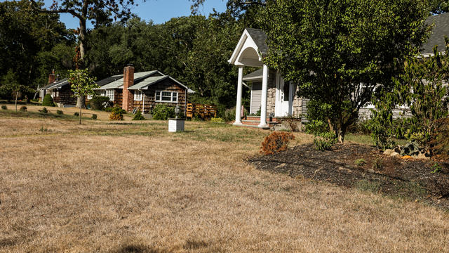 Drought conditions dry out Long Island lawns 