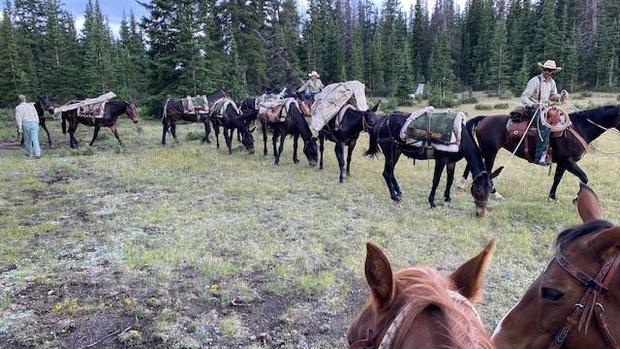 Plane wreckage hauled away from remote Lost Creek Wilderness -- 50 years after it crashed 