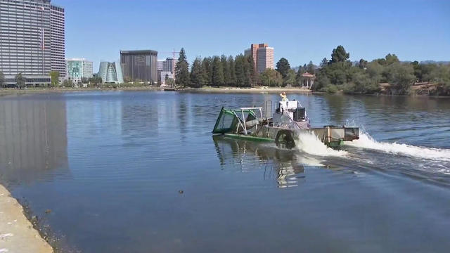 Lake Merritt Cleanup 