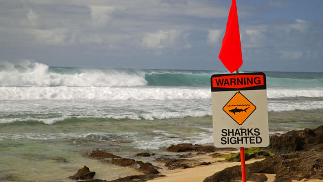 Hawaii, Oahu, North Shore, Shark Sighting Sign. 