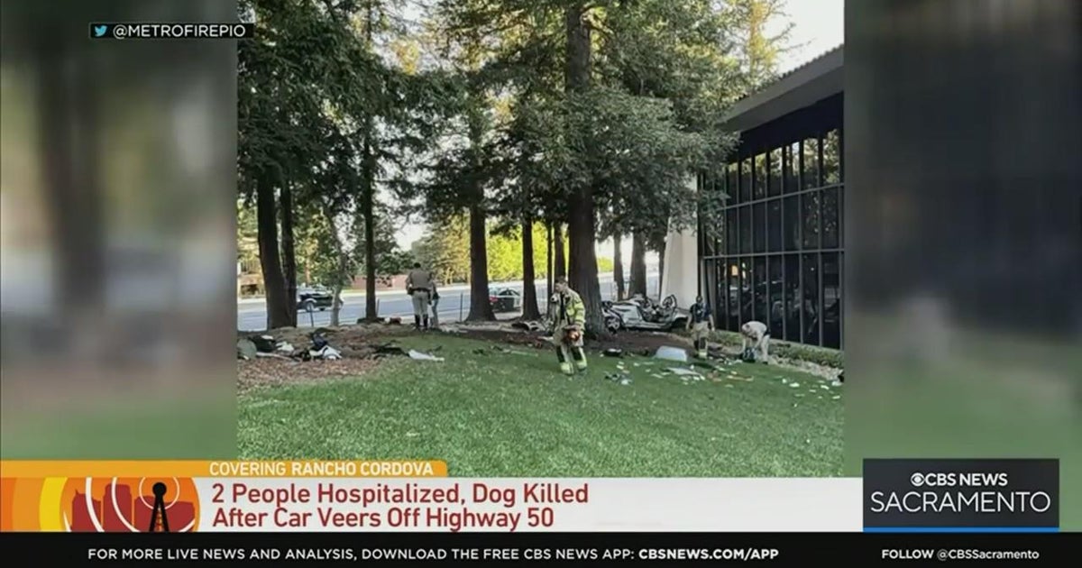 Car crashes off Highway 50 into Rancho Cordova business park; dog dies ...