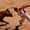 Could Spain say adios to bull-running festivals?