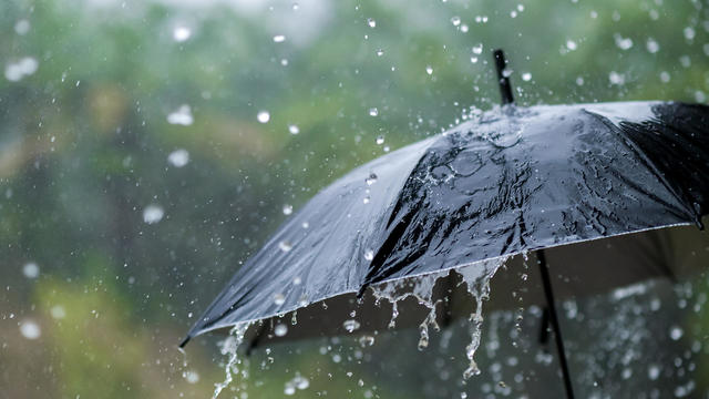 It's raining heavily, wearing an umbrella during the rainy season 