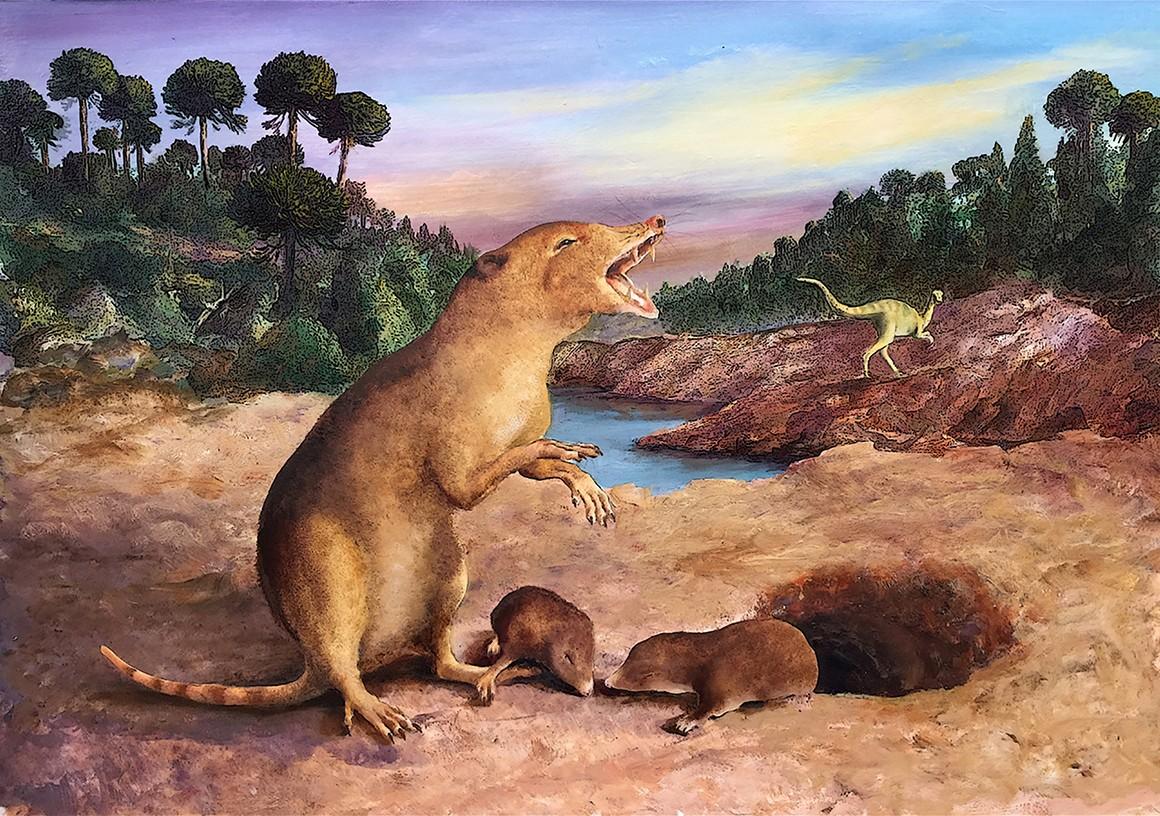 Earliest known mammal dating back 225 million years identified using ...
