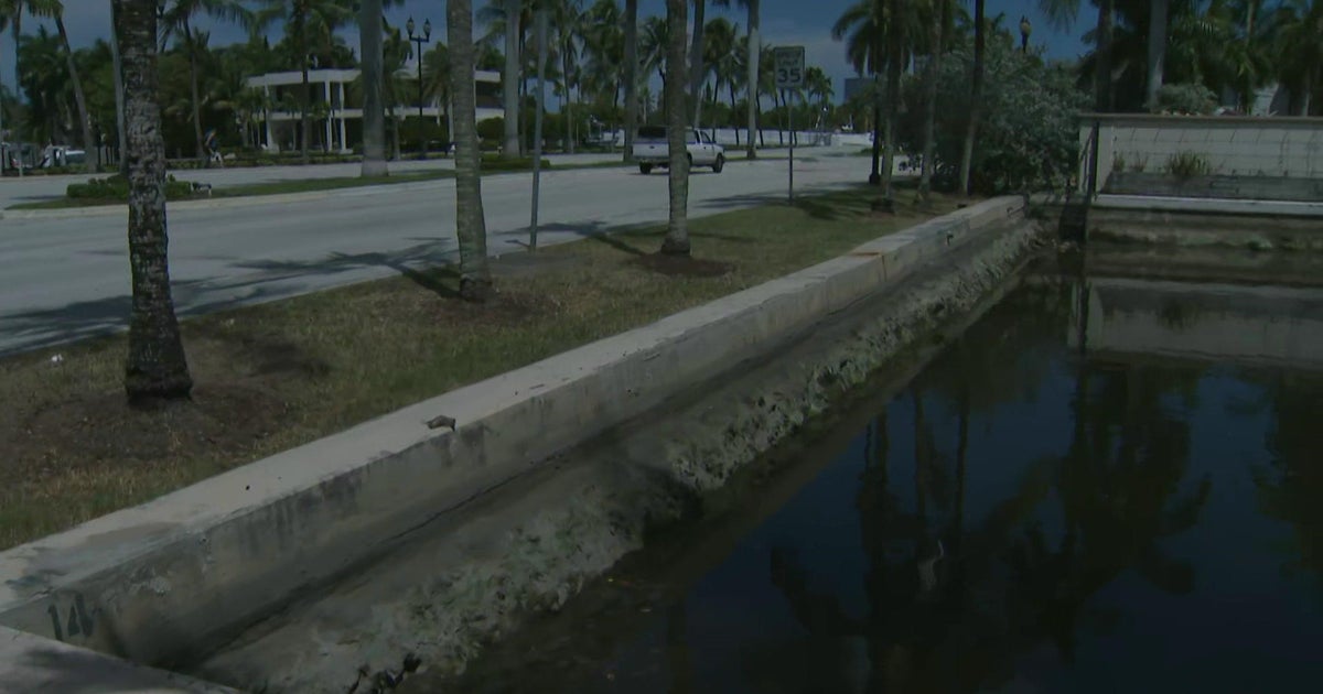 Will some streets appear like Venice, Italy? Here is what you can assume for King Tide period
