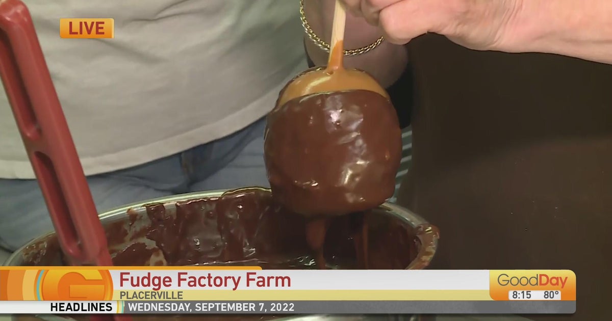 Fudge Factory Farm in Placerville Good Day Sacramento