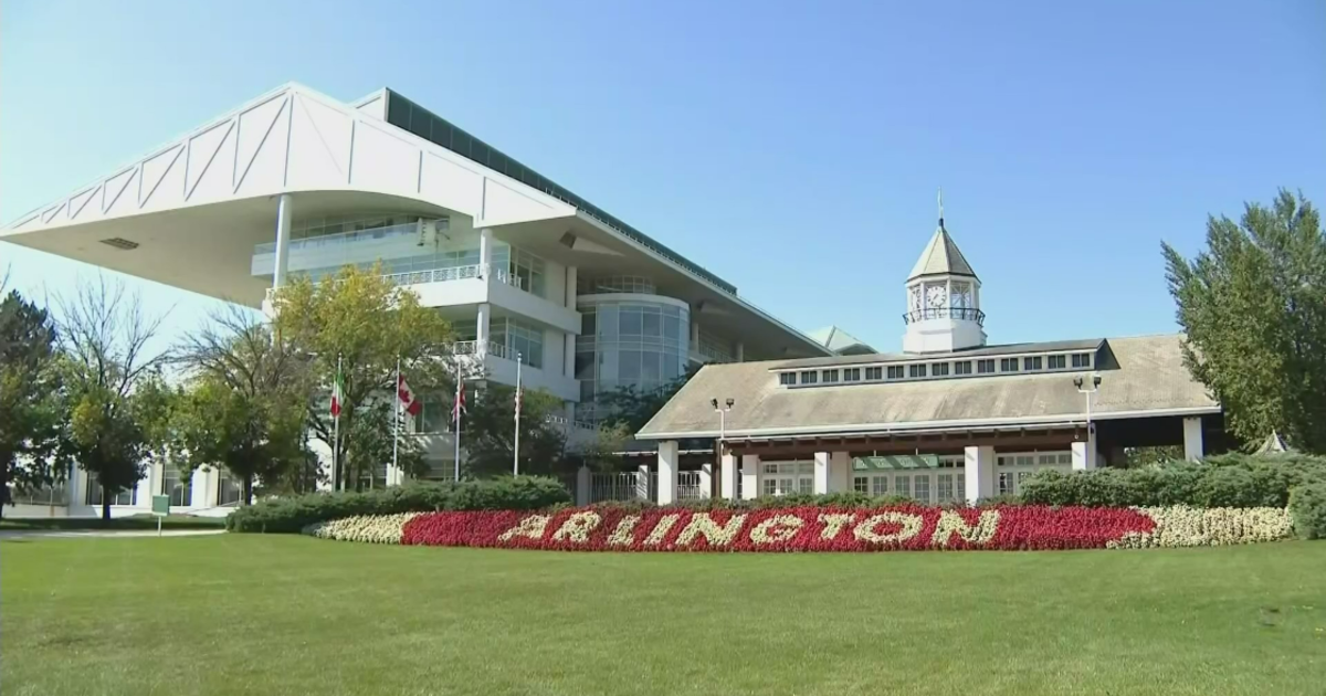 Bears reveal potential Arlington Heights stadium plans - CBS Chicago