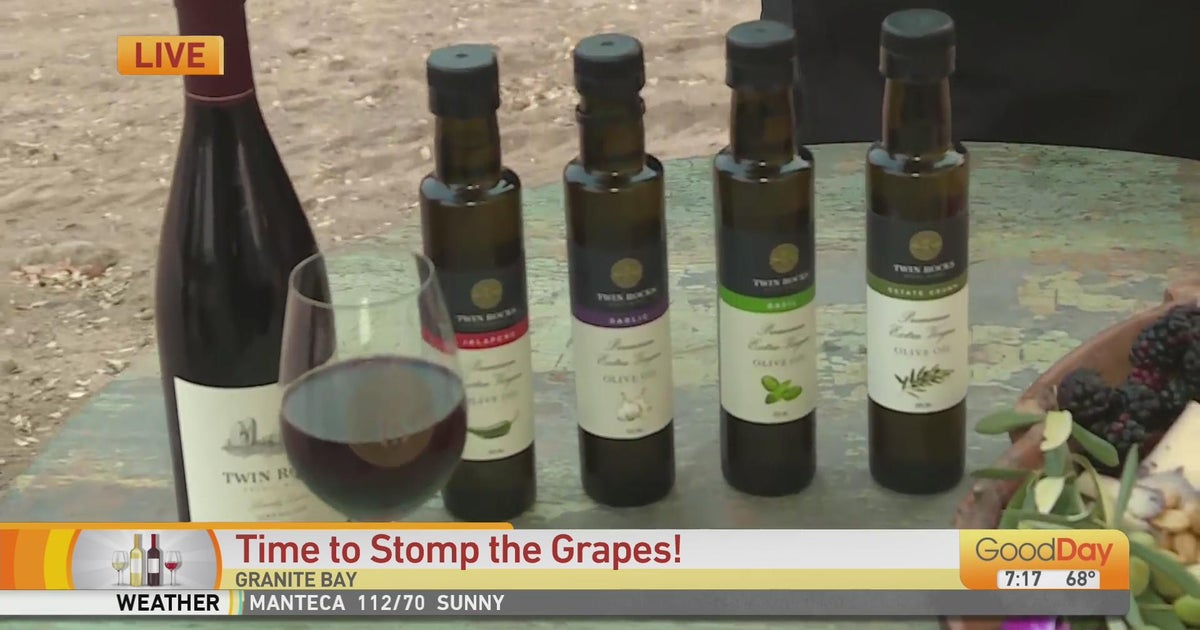 Stomping of the Grapes! Good Day Sacramento