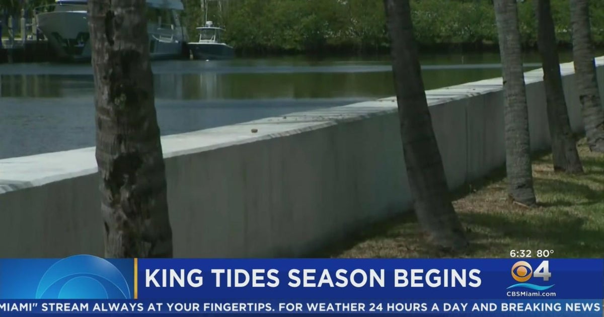 Fort Lauderdale preparing for King Tide season CBS Miami