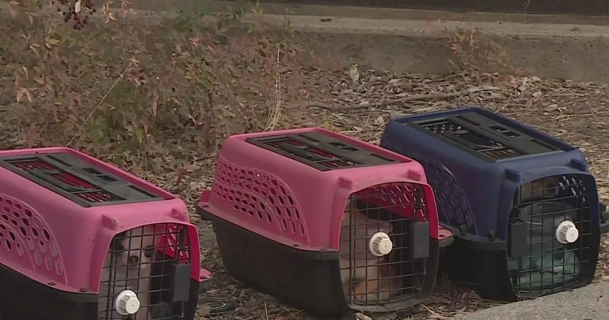 New Mosquito Fire evacuation center opens in Rocklin