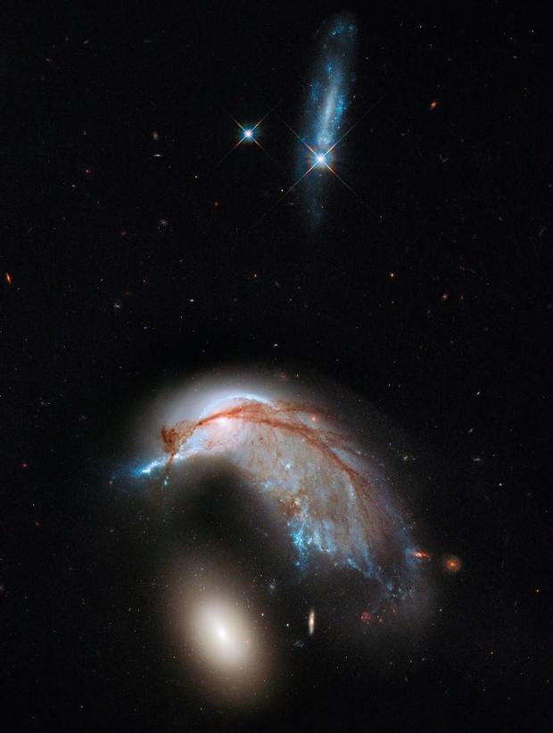 Three galaxies in a vertical image. Top one is blue and vertical, and smaller than the other two. The middle galaxy is half-curved around the lower galaxy and by far the largest. It shows streaks of bright blue and red strings of dust. The lowest galaxy in the scene is a bright white orb, about one sixth of the size of the middle galaxy above it. 