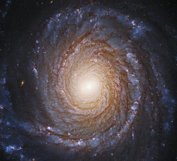 Spiral galaxy 