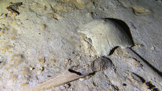 Fragments of a prehistoric human skeleton found in an underwater cave in Tulum, Mexico 