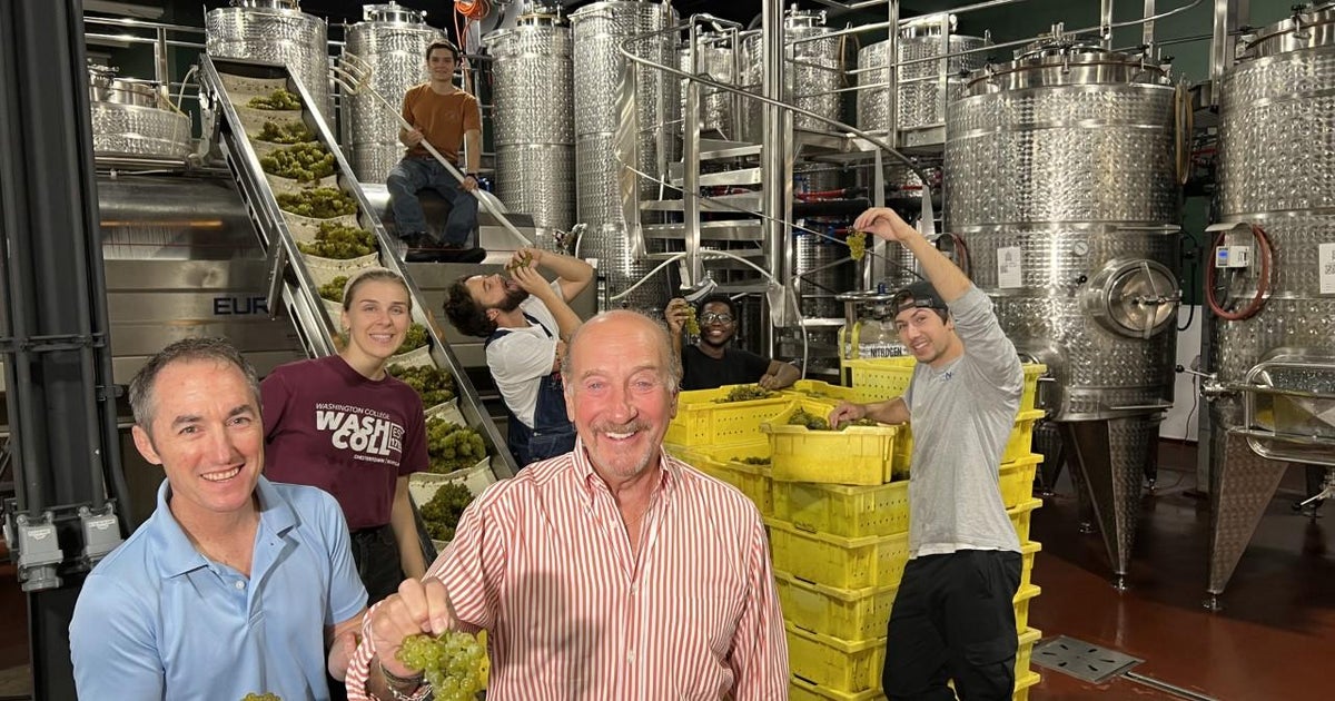 Where's Marty? Learning the art of wine at The Wine Collective - Vimarsana News