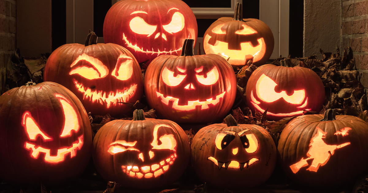 Trick or Treat: Here are South Florida Halloween occasions, pumpkin patches