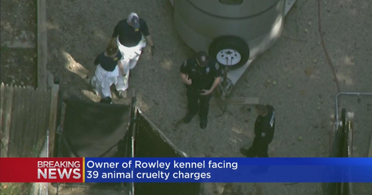 Owner of Rowley kennel facing 39 animal cruelty charges CBS Boston