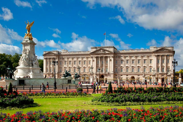 buckingham palace cat tree