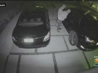 Ring camera alert to helicopter pilot in flight catches car burglars