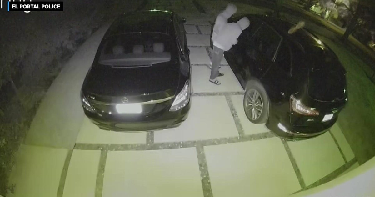 CBS4 Exceptional: Ring camera video demonstrates motor vehicle burglars moments prior to being busted in El Portal