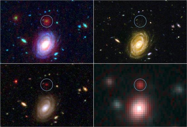 A combined visible and infrared view of galaxy HUDF-JD2. In the browse image, Hubble's visible light image is in the upper right, Hubble's near infrared view is in the lower left, Spitzer's infrared camera is in the lower right and the combined view of all three images in the upper left. 