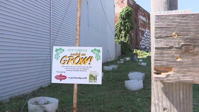 philadelphia-brewing-company-hop-garden.jpg 