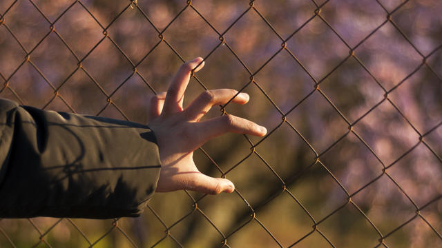hand on barbed wire metal fence desperate to get out clear horizontal 