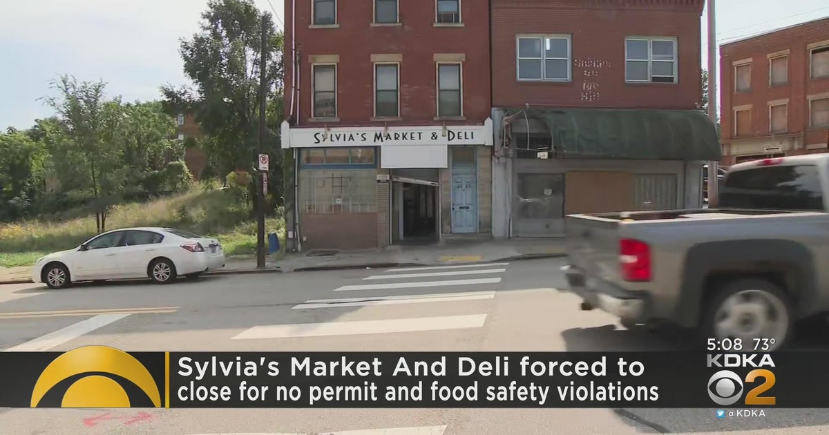 Sylvia (singer) visual data 8