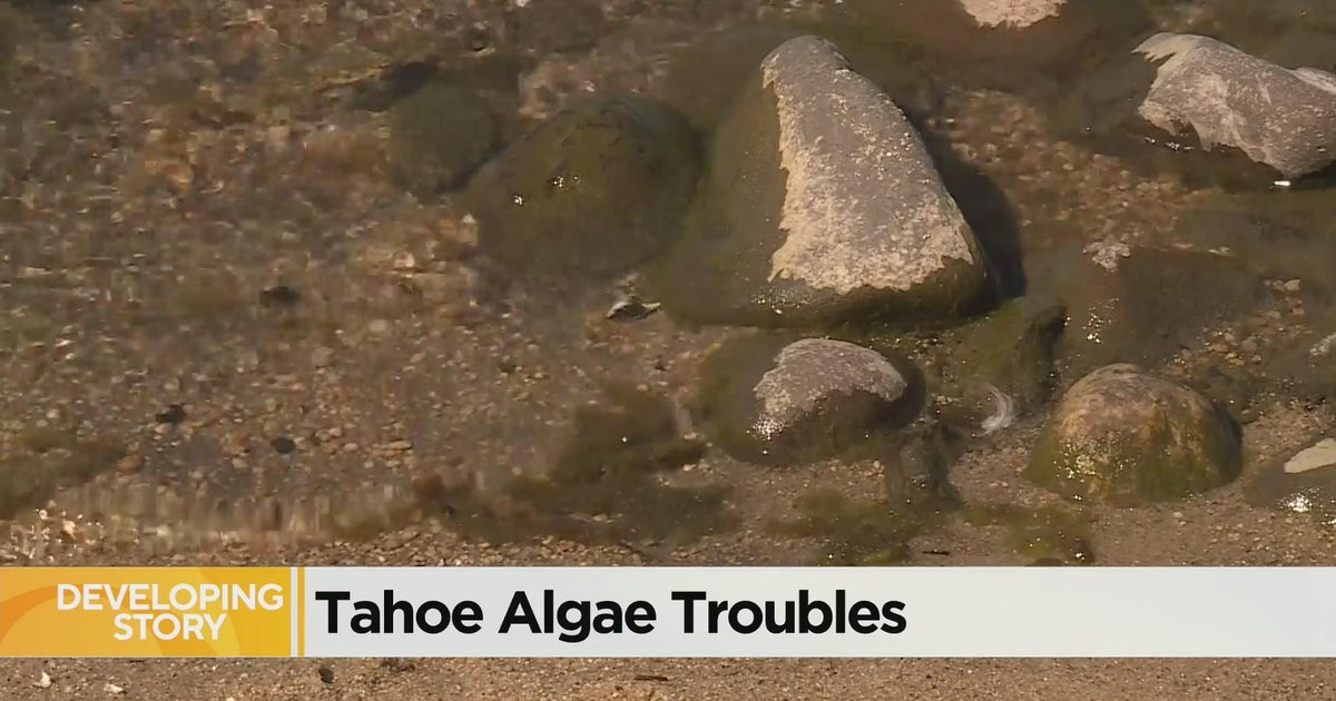 CBS13 News AM News Update - 9/16/22