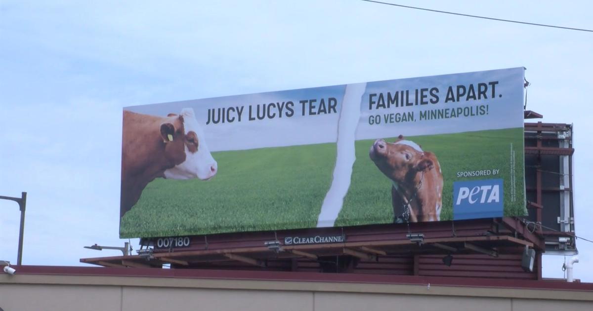 PETA targets Minnesota’s Jucy Lucy tradition - CBS Minnesota