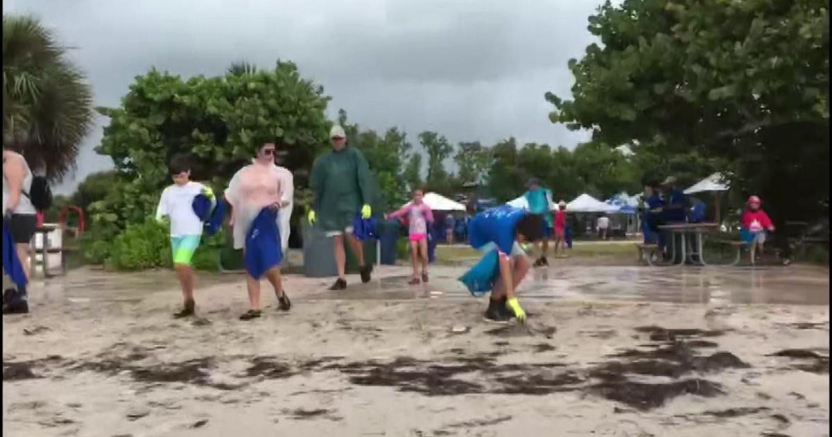 Thousands of volunteers anticipated at South Florida seashores for Worldwide Coastal Cleanup