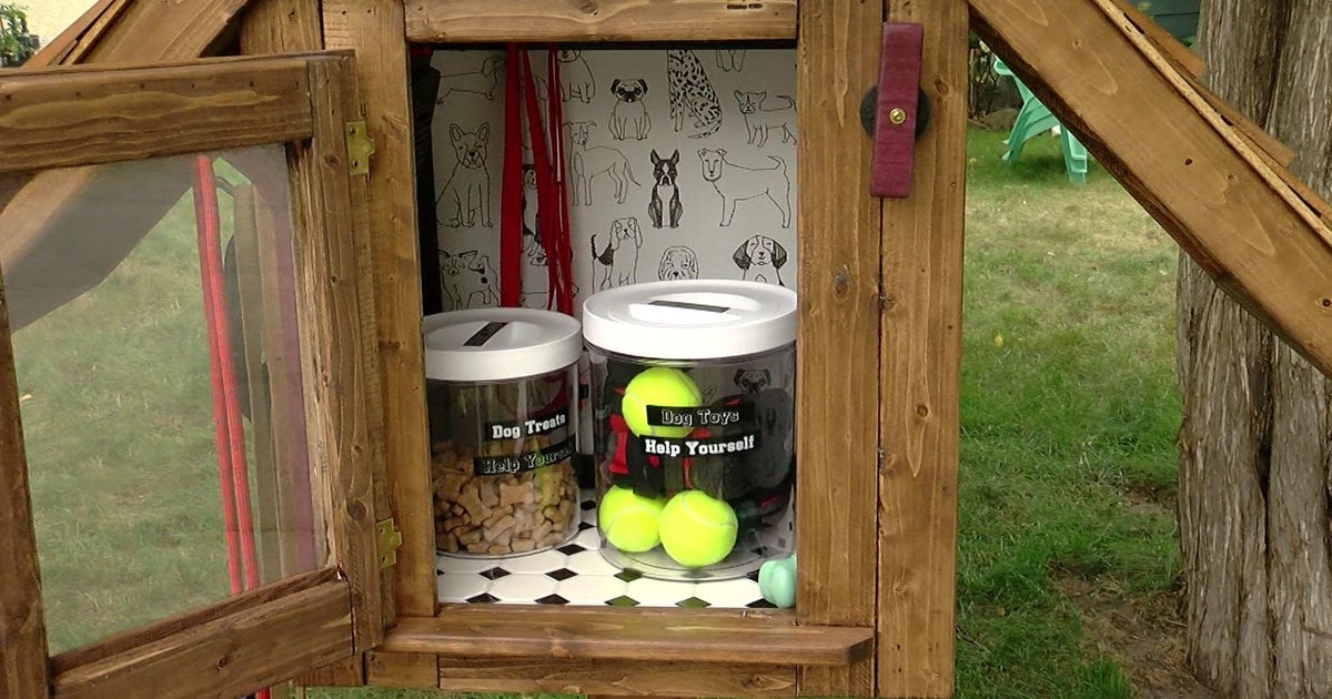 "Dog Library" springs up in Minneapolis neighborhood in memory of