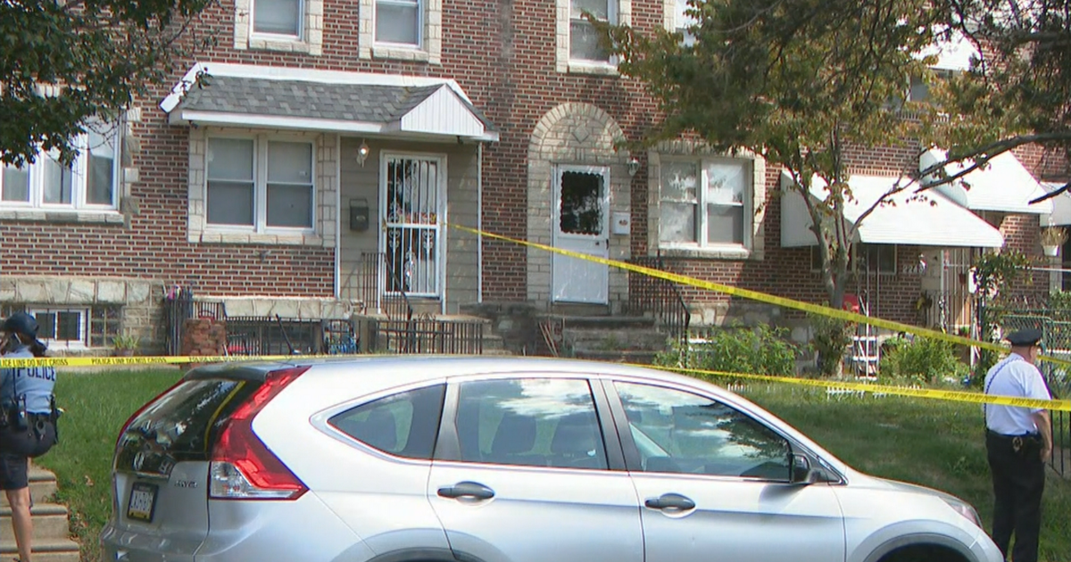 1-year-old critically injured after being attacked by 2 dogs inside ...