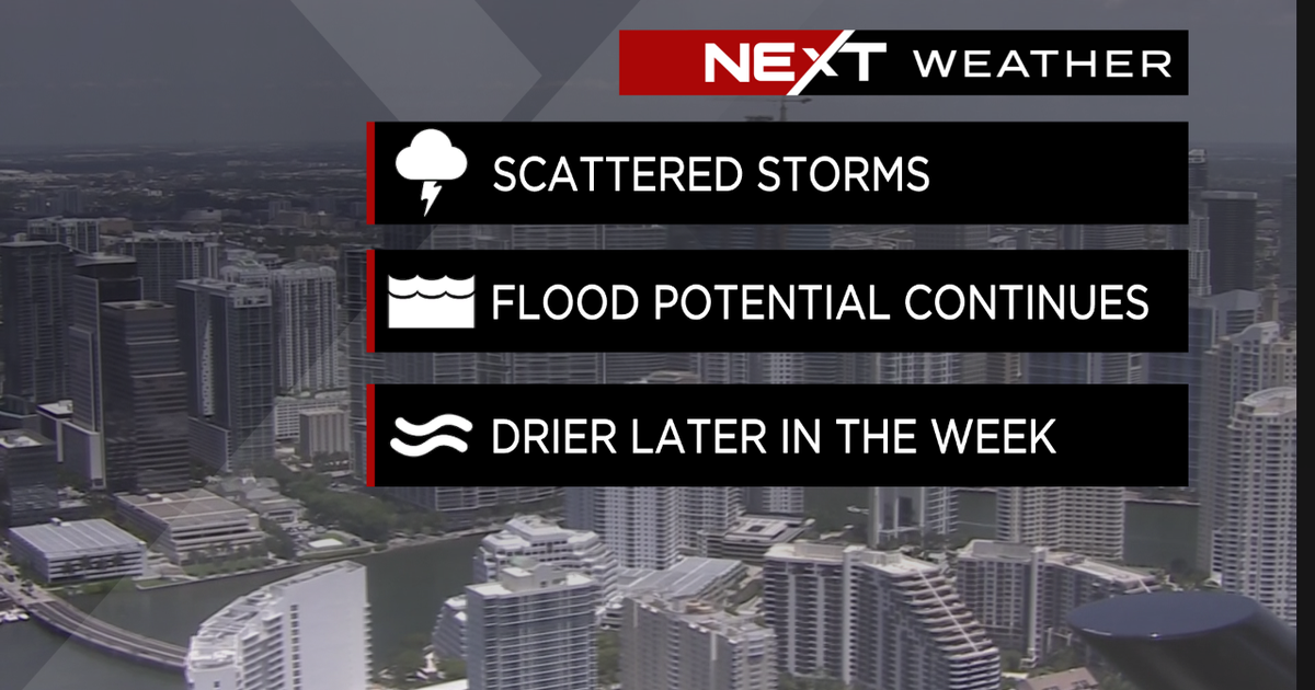 Miami Weather conditions: Yet another round of afternoon storms, feasible heavy downpours