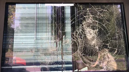 foco-veteran-memorial-damage.png 