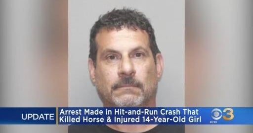 Arrest made in hit-and-run that injured 14-year-old girl, killed horse ...