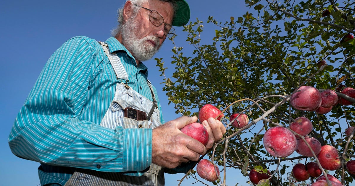 Farmers will get $3.1 billion in USDA loan relief from Biden