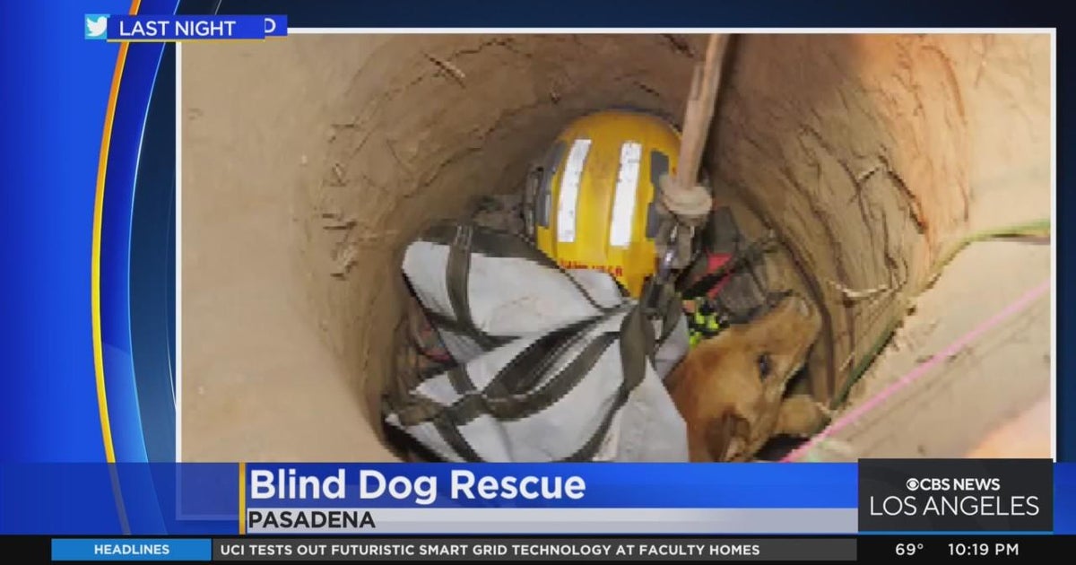 Firefighters rescue blind dog from deep, narrow hole CBS Los Angeles(00)