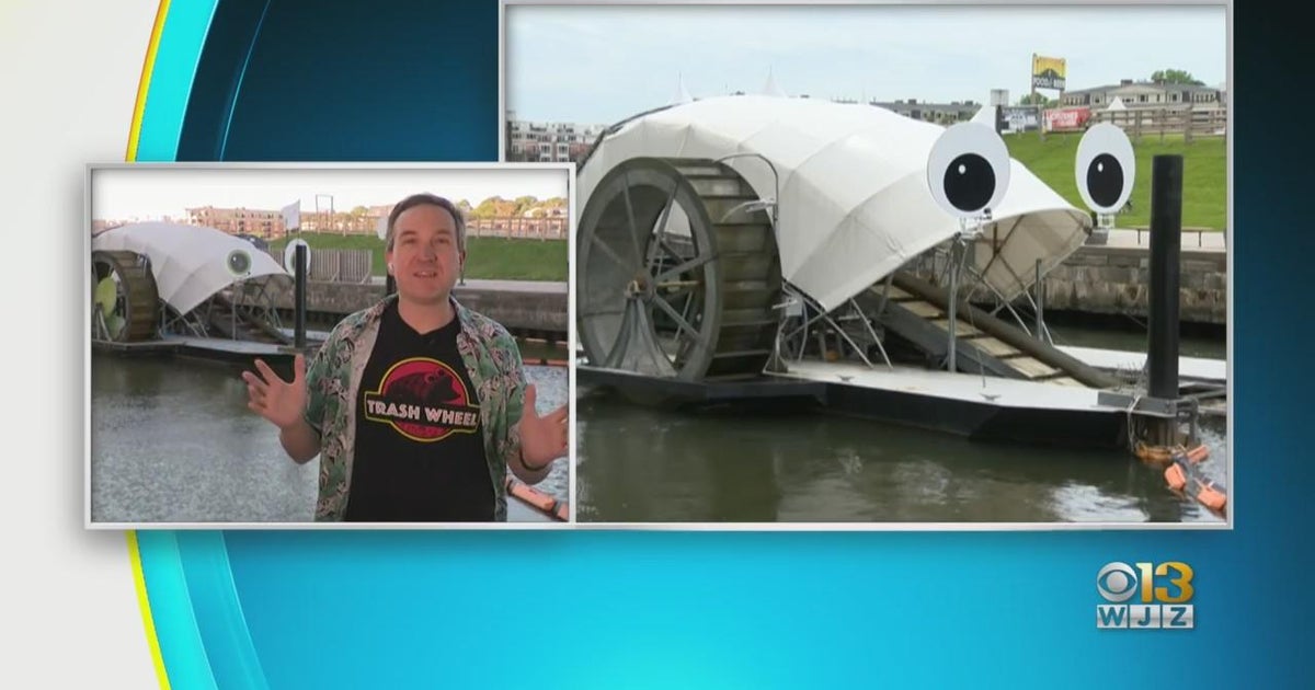 Adam Linquist of the Waterfront Partnership tells us about the Trash ...