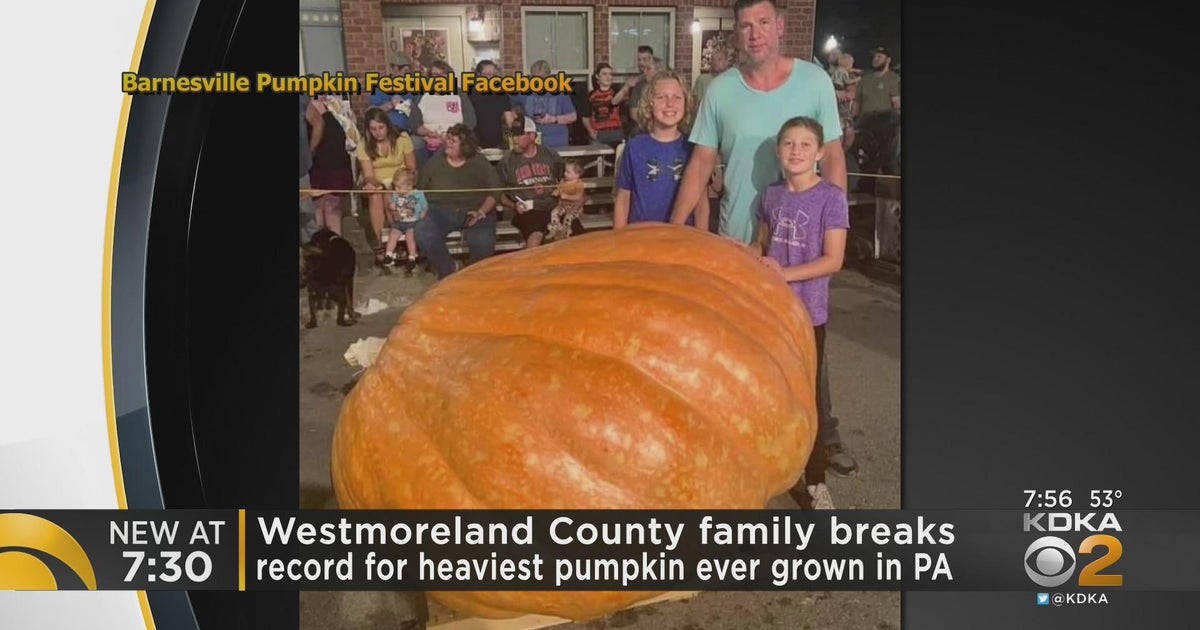 Westmoreland co family breaks record for heaviest pumpkin ever grown