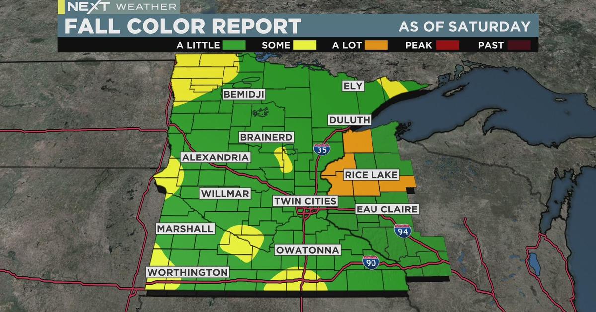 NEXT Weather: Noon weather report - CBS Minnesota