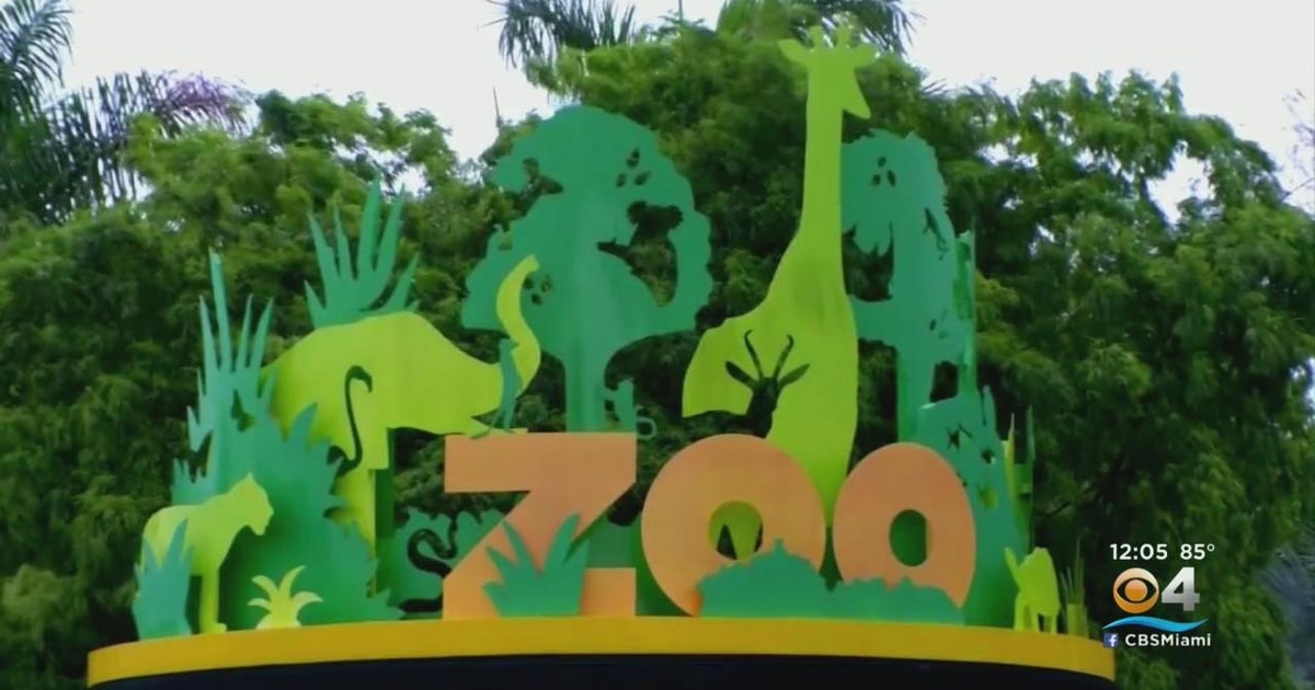 Zoo Miami to close Tuesday to prepare for Hurricane Ian impacts - CBS Miami