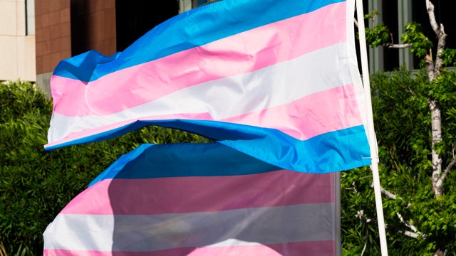 Trans pride flags flutter in the wind
