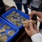 Oldest-ever teeth found in fish fossil catch, researchers say