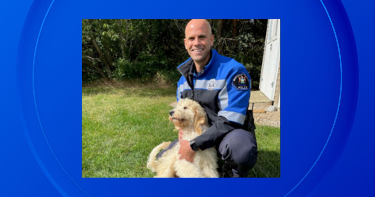 Northville Township Police Department seeks help naming new support dog