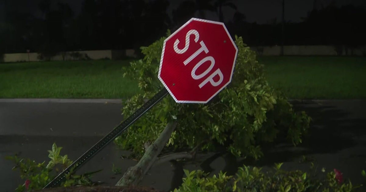 Cooper City commences clear-up procedure in aftermath of Hurricane Ian
