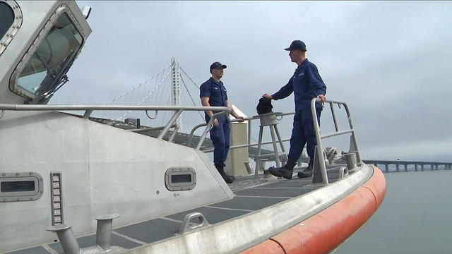 coast-guard-fleet-week-092922.jpg 