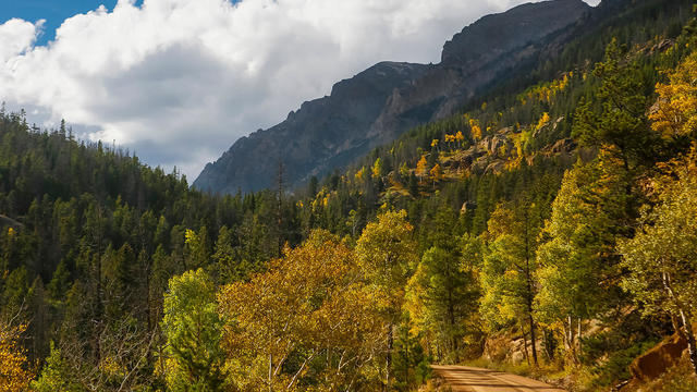 autumn-colors-on-old-fall-river-road-credit-nps-2016-photo-by-ann-schonlau-small-file-copy.jpg 