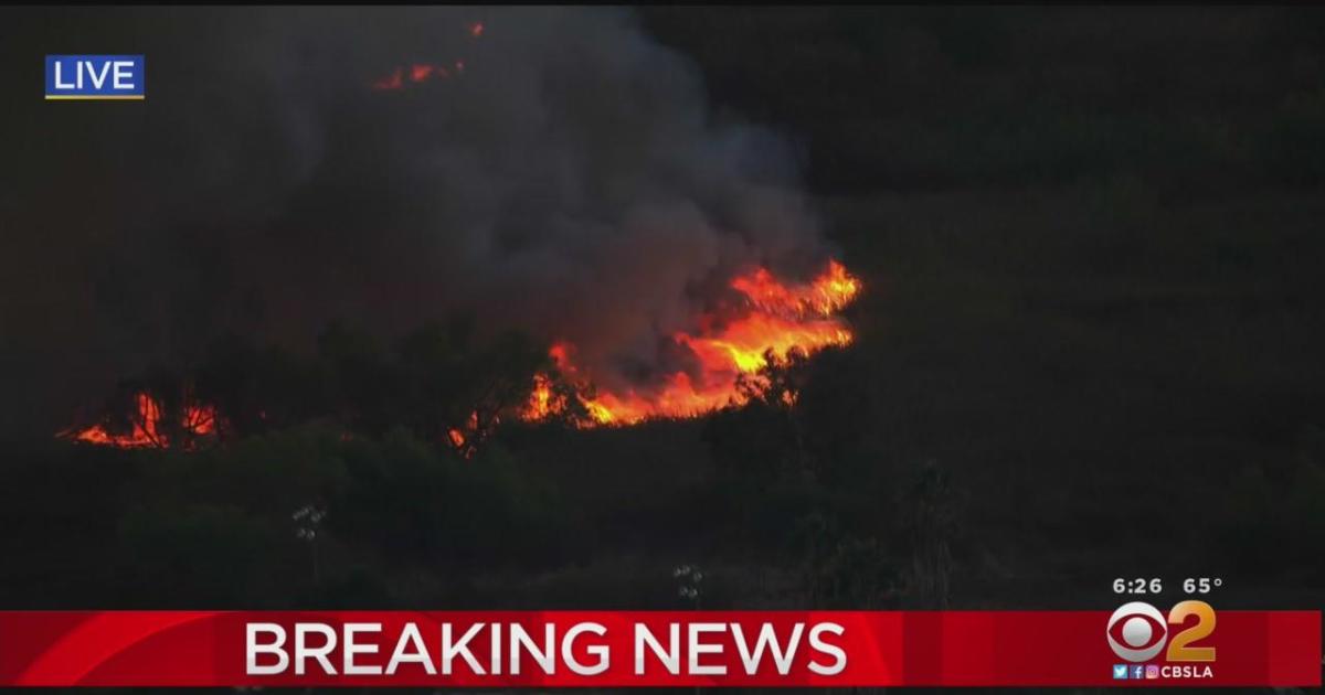 Firefighters battling fire in Wilmington; at least 5 acres burned